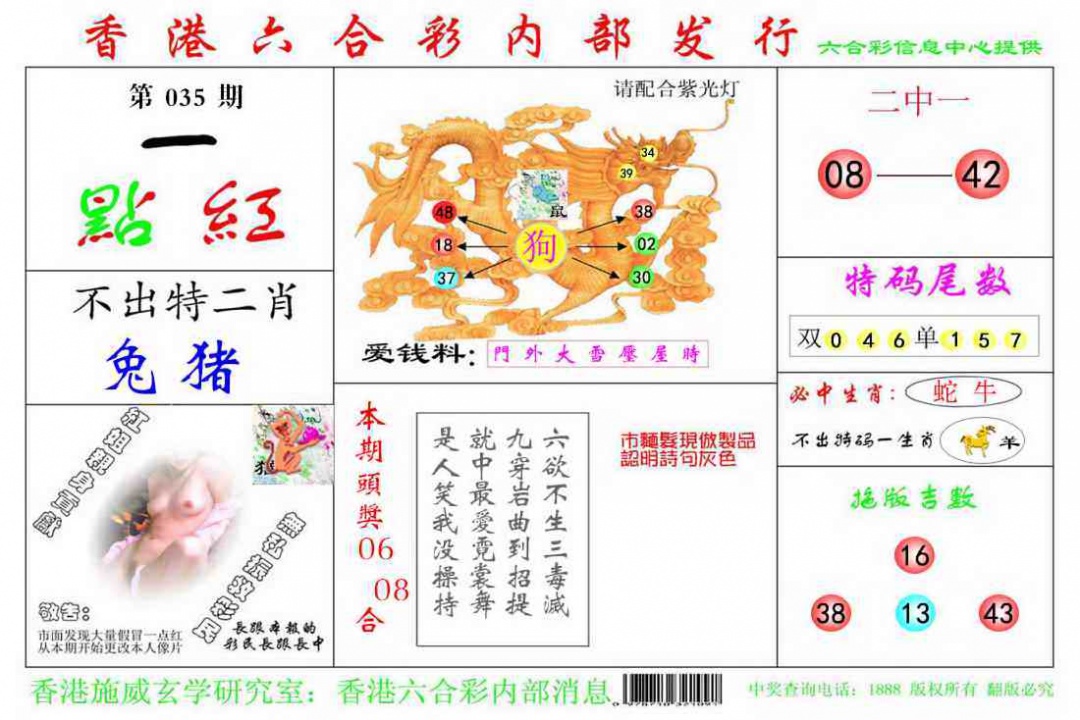 035期一点红[图]
